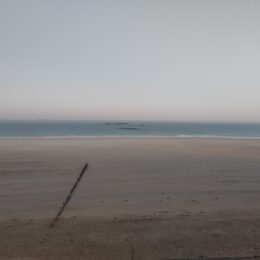 Les plantes en intérieur